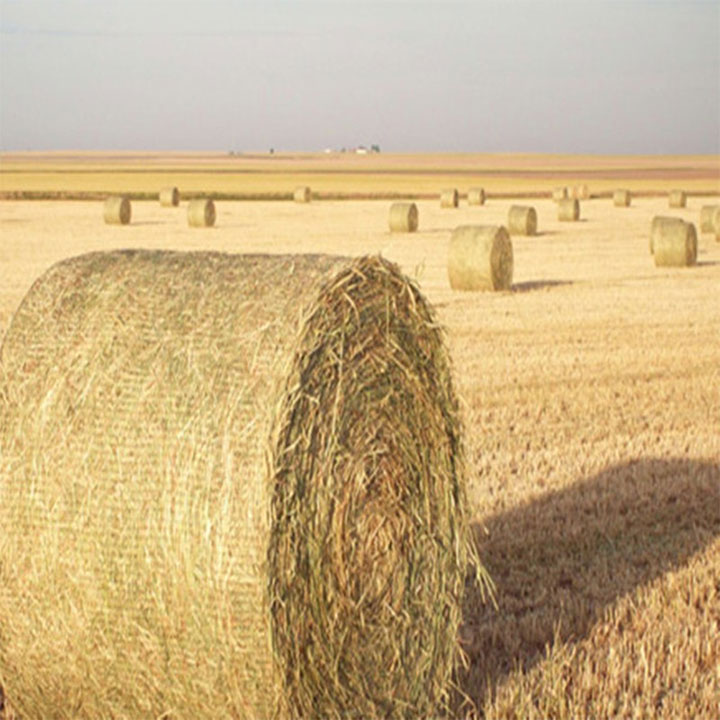 Red de envoltura de fardos biodegradables de HDPE para a agricultura